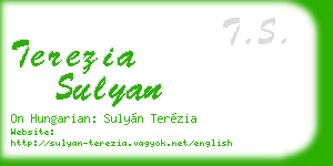 terezia sulyan business card